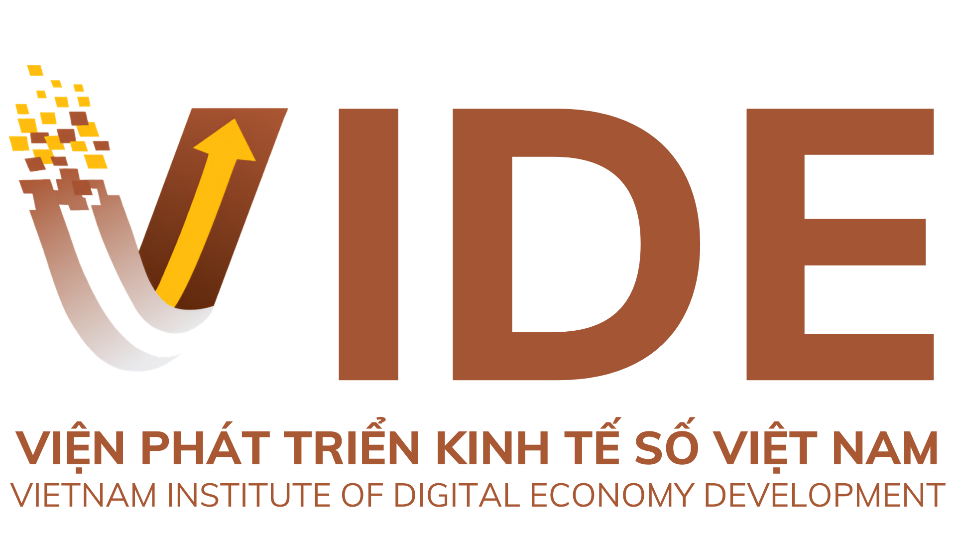 Viện VIDE